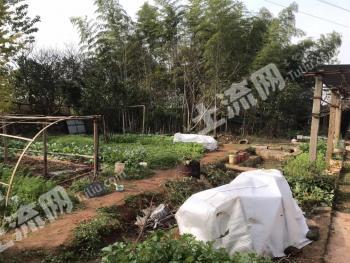 南昌進(jìn)賢縣1600平米商業(yè)及住宅-宅基地使用權(quán)出租