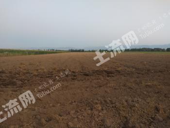 伊犁察布查尔锡伯自治县62亩水浇地经营权出租