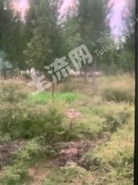 济宁泗水县50亩工矿仓储-仓储用地使用权转让ss10013
