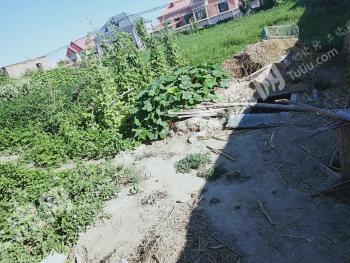 伊犁察布查尔锡伯自治县 1100平米 宅基地 使用权出租