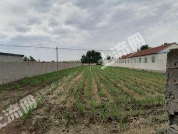 潍坊安丘市 6亩 其它林地 经营权转让