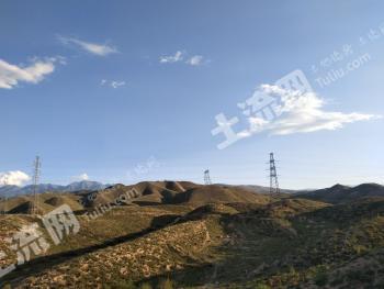 海东平安区 2000亩 其它林地 经营权合作