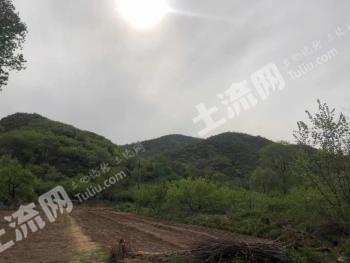 张家口怀来县 3000亩 荒山 出租