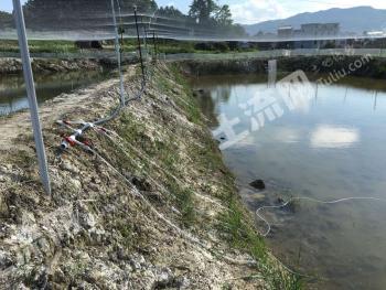 萍乡莲花县 68亩 农场 使用权出租