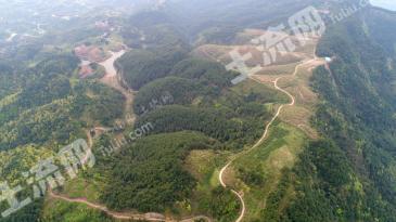 怀化麻阳苗族自治县 1200亩 灌木林地 经营权合作