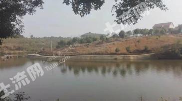 常德临澧县 160亩 综合养殖用地 经营权转让