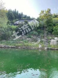 宜昌长阳土家族自治县 158平米 农家庭院 出租