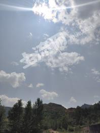 张家口怀安县 300亩 有林地 经营权转包