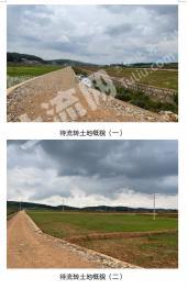 云南曲靖 1000亩 水田 经营权出租