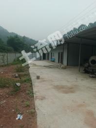 德阳中江县 52.76亩 农场 使用权转让