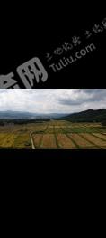 河源连平县1000亩水田经营权出租
