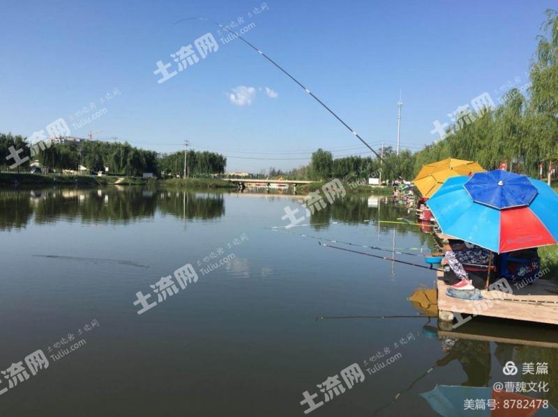 菏泽鄄城县 100亩 河流水面 使用权出租