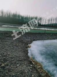 朝阳喀喇沁左翼蒙古族自治县 200亩 有林地 经营权转让