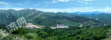 锦州凌海市 10000亩 有林地 经营权转让