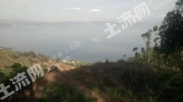 玉溪澄江县 213.55亩 灌木林地 经营权转让