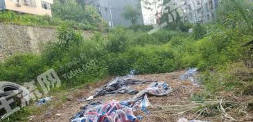 河池凤山县 352平米 宅基地 使用权出租