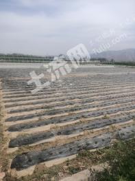 兰州红古区3亩水浇地经营权出租