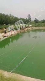 郑州管城回族区 70亩 设施农用地 经营权转让