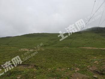 凉山布拖县12000亩荒山出租