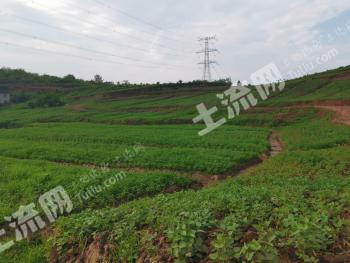 自贡富顺县140亩水浇地经营权转包