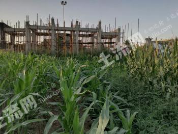 咸阳杨陵区 1.75亩 水浇地 经营权转让