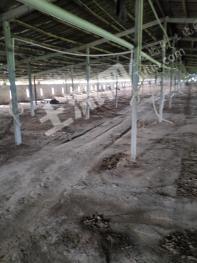 济宁金乡县5亩设施农用地经营权出租