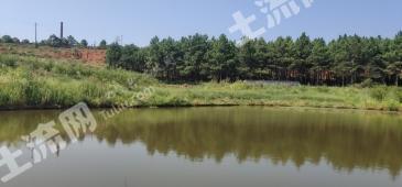 株洲攸县 500亩 灌木林地 经营权出租