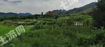 江西上饶戈阳县400亩农场出租