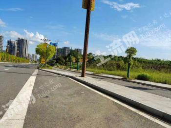 南充阆中市 80000平米 商业用地 使用权转让