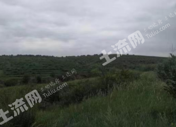 朝阳建平县 500亩 畜牧养殖用地 经营权转让