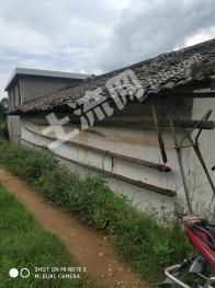 攀枝花米易县 8亩 水田 经营权转让