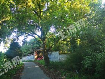 九江彭泽县 2886平米 宅基地 使用权出租