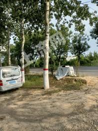 临汾尧都区 10亩 设施农用地 经营权出租