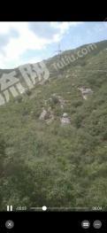 朝阳龙城区 180亩 综合养殖用地 经营权出租