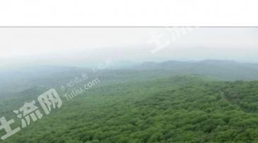 双鸭山饶河县 2300亩 其它林地 经营权转让