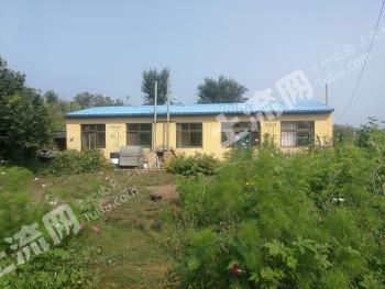 秦皇岛卢龙县 100亩 果园 经营权转包