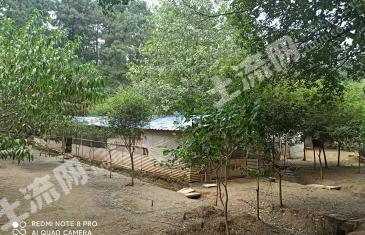 马鞍山花山区 10亩 农场 使用权出租