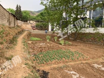 曲靖会泽县 0.36亩 旱地 经营权转让