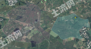 南京高淳区 650亩 有林地 经营权转让