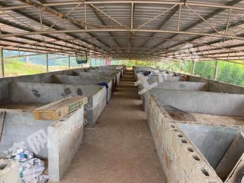 钦州钦北区 5亩 畜牧养殖用地 经营权转让