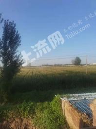 菏泽鄄城县 1000亩 水浇地 经营权出租