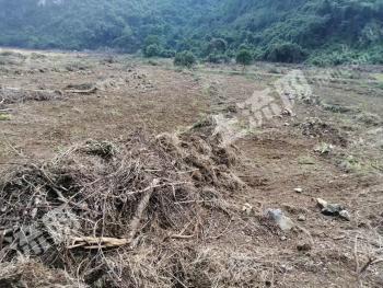 崇左龙州县 800亩 旱地 经营权出租