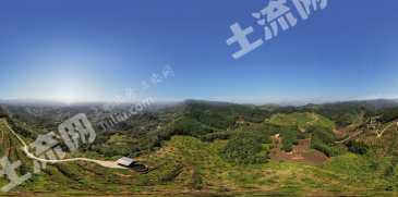 眉山丹棱县 220亩 果园 经营权出租