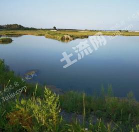 黑龙江大庆 600亩鱼塘经营权转让