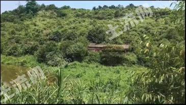 百色右江区40亩其它用地-空闲用地经营权出租