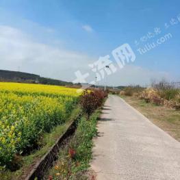 九江彭泽县5000亩旱地经营权出租