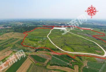 潍坊安丘市 350亩 水浇地 经营权出租