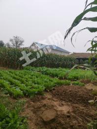 北京延庆区沈家营325平方米宅基地使用权出租