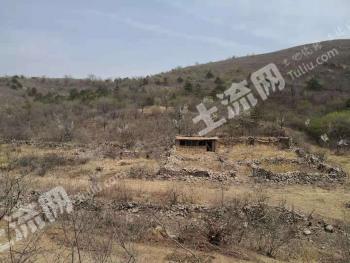 锦州义县 350亩 农场 使用权转让