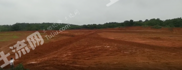 九江永修县 31亩 旱地 经营权出租